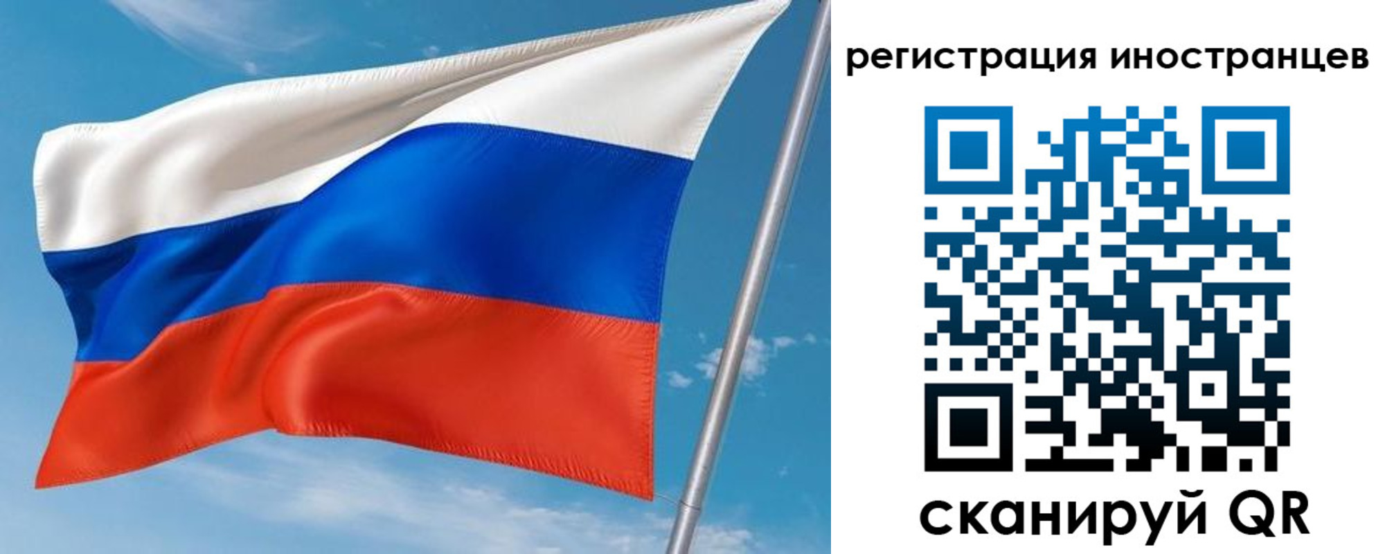 прописка гарантия в Брянске